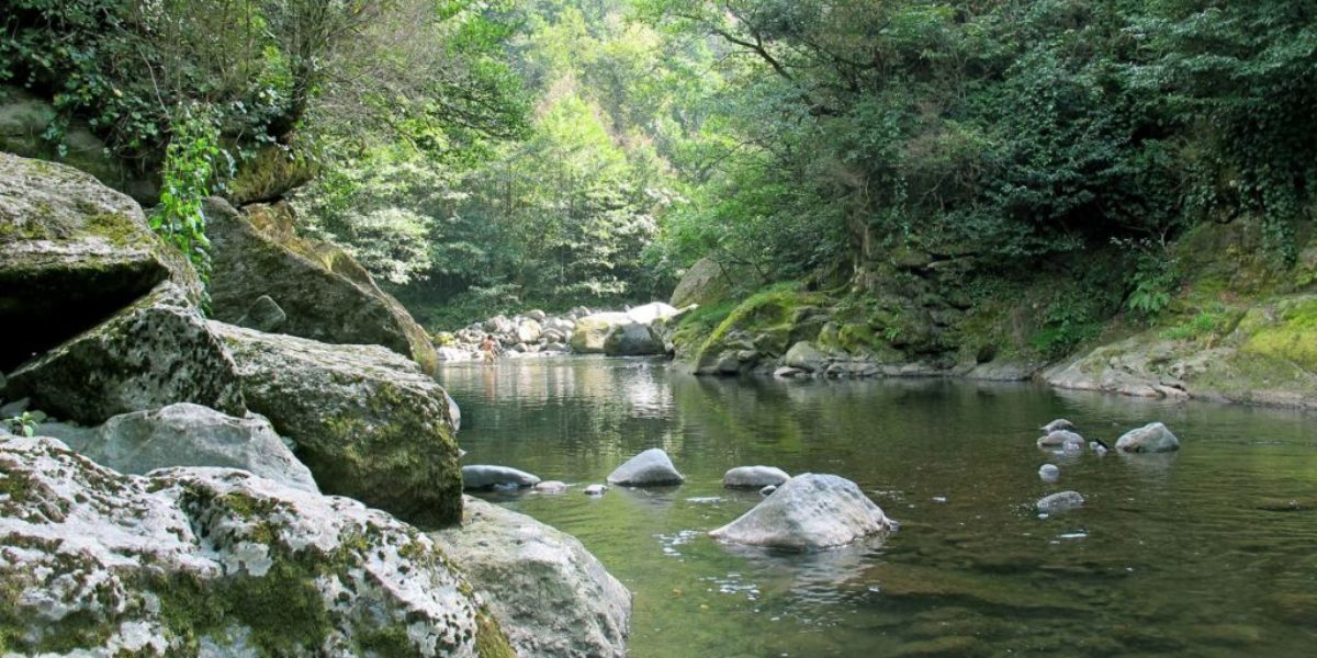 mtirala national park 3